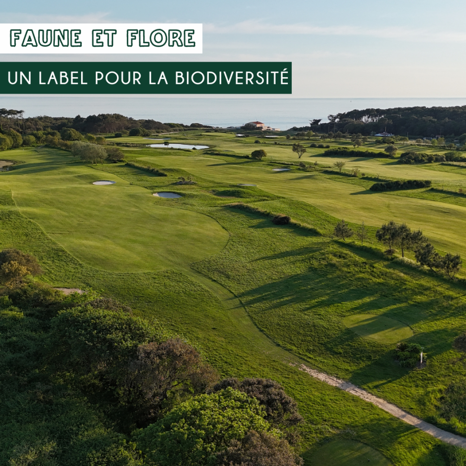 Pris de vue aérienne du Bourgenay Golf Club à Talmont Saint Hilaire face à l'océan Atlantique